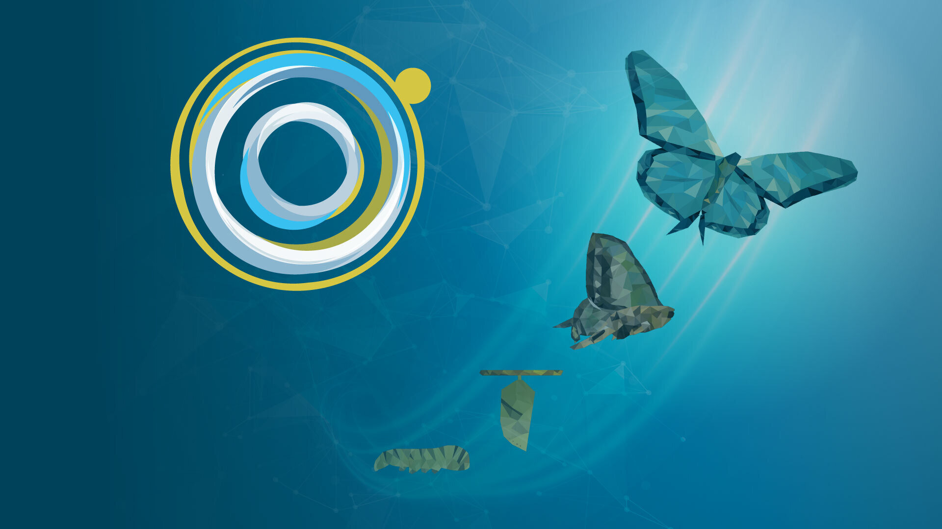 InformedTRANSFORM Banner Image